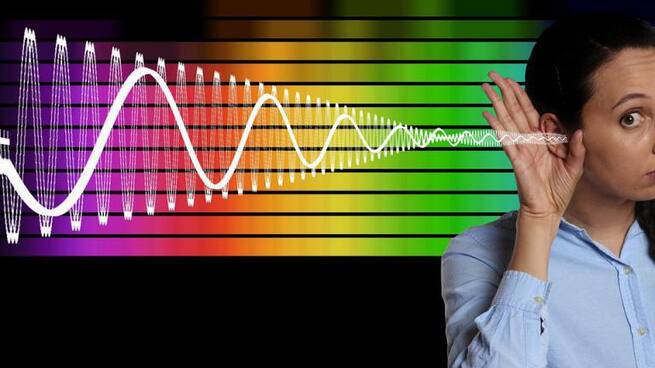 Cómo detectar la pérdida auditiva con Federópticos Yolanda