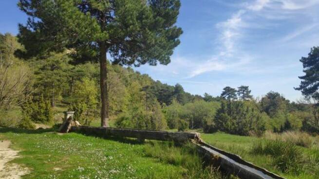 Quince años de homenaje y senderismo en la Marcha Blume de Huerta del Marquesado
