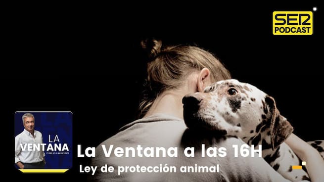 La Ventana a las 16h | Ley de protección animal
