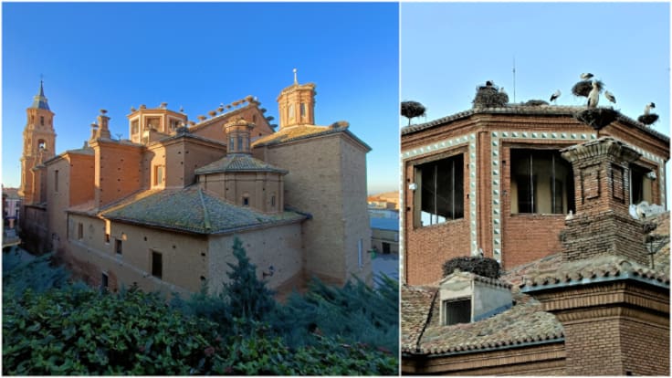 La colonia de cigüeña blanca más grande del mundo en un edificio