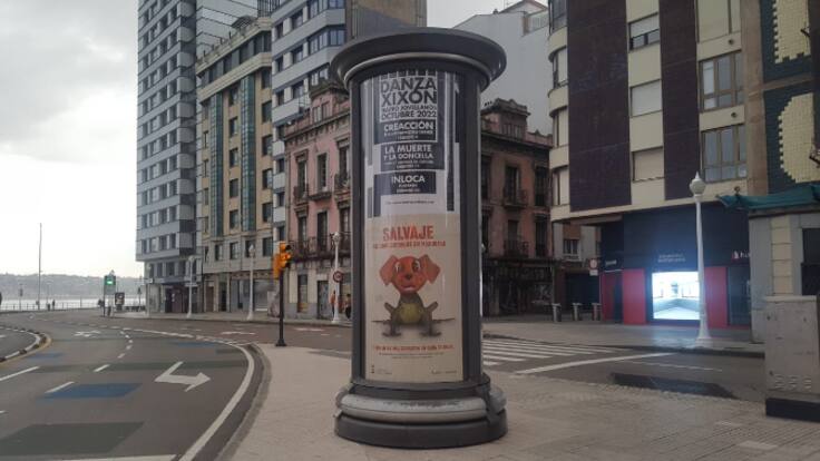 Campaña "Salvaje es convertirlos en mascota" en Gijón