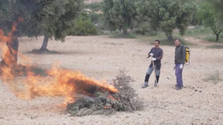 Jaraíz (22/10/2022)