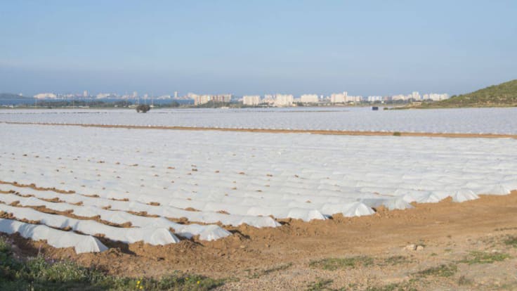 Vicente Carrión en Hoy por hoy Cartagena