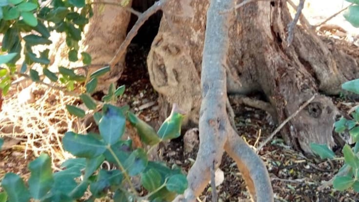 La firma de 'El Garrancho'