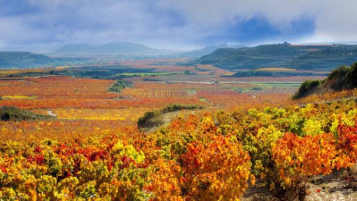 La Primera Llamada con el presidente del Club de Marketing de La Rioja, Juan Ángel Zubeldia (10/11/2022)