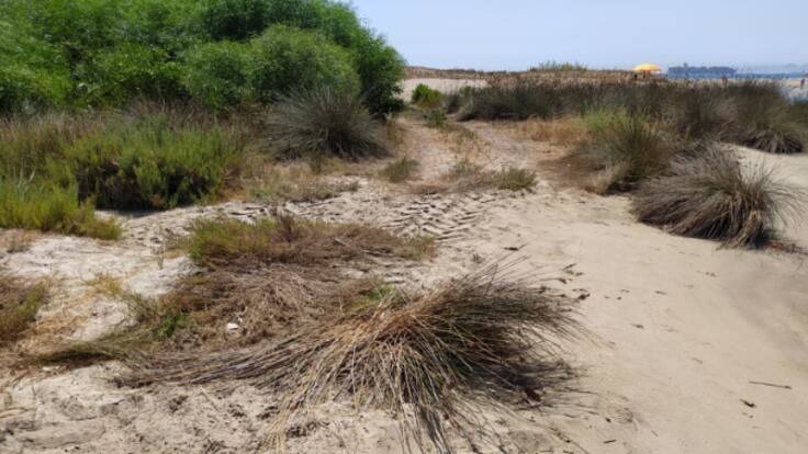 Verdemar anuncia movilizaciones si no hay solución al problema del Palmones