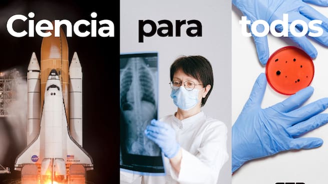 Ciencia para todos. La investigación detrás de las frutas y hortalizas que consumimos