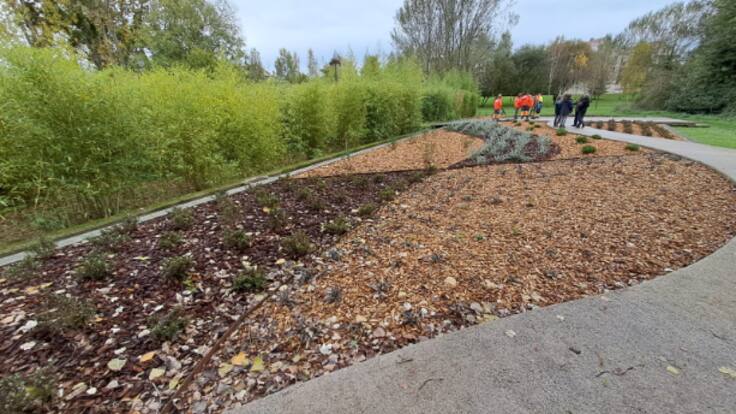 Reforma estanque del Parque Fluvial de Viesques