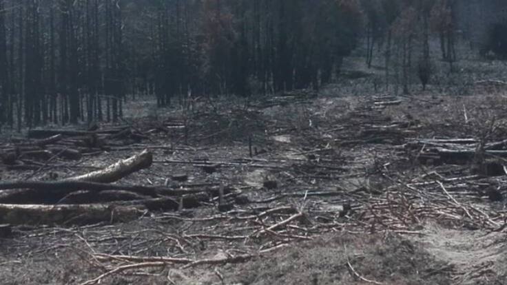Un vecino de Ferreras denuncia los destrozos provocados por los camiones en la localidad