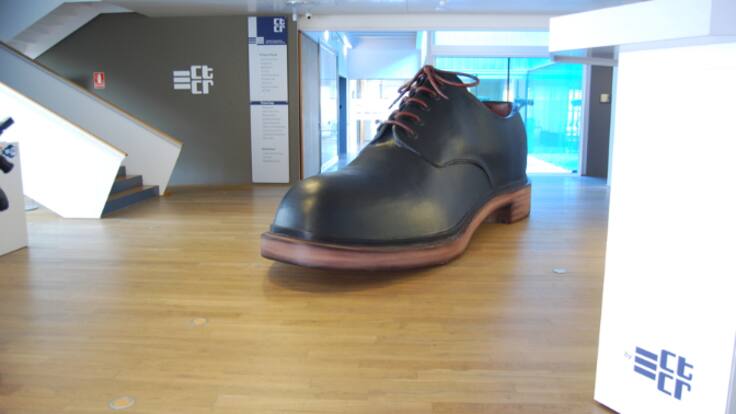 Javier Oñate, director gerente CTCR