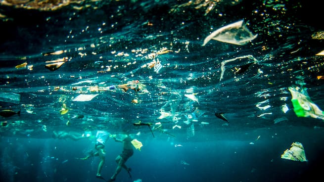 Los estudios confirman que el 70% de los plásticos que acaban flotando en aguas de Baleares proceden de Argelia