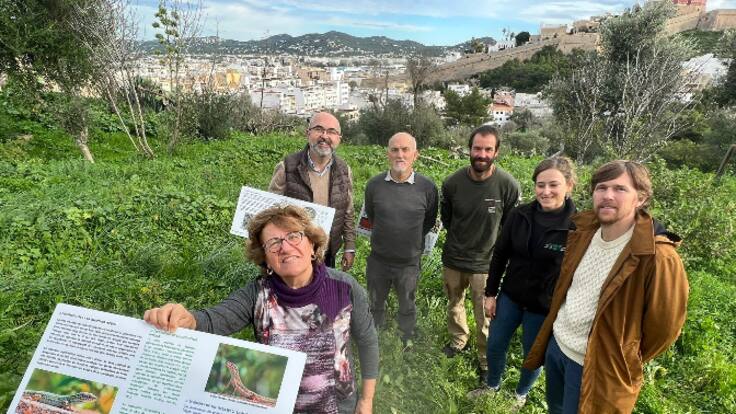 Reserva de lagartijas en el pulmón de Vila