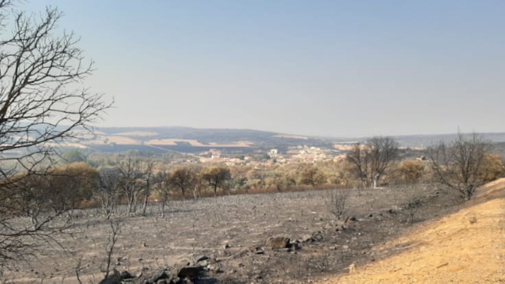 Los integrantes del operativo que combatió los incendios de la Sierra de la Culebra ha precisado ayuda psicológica