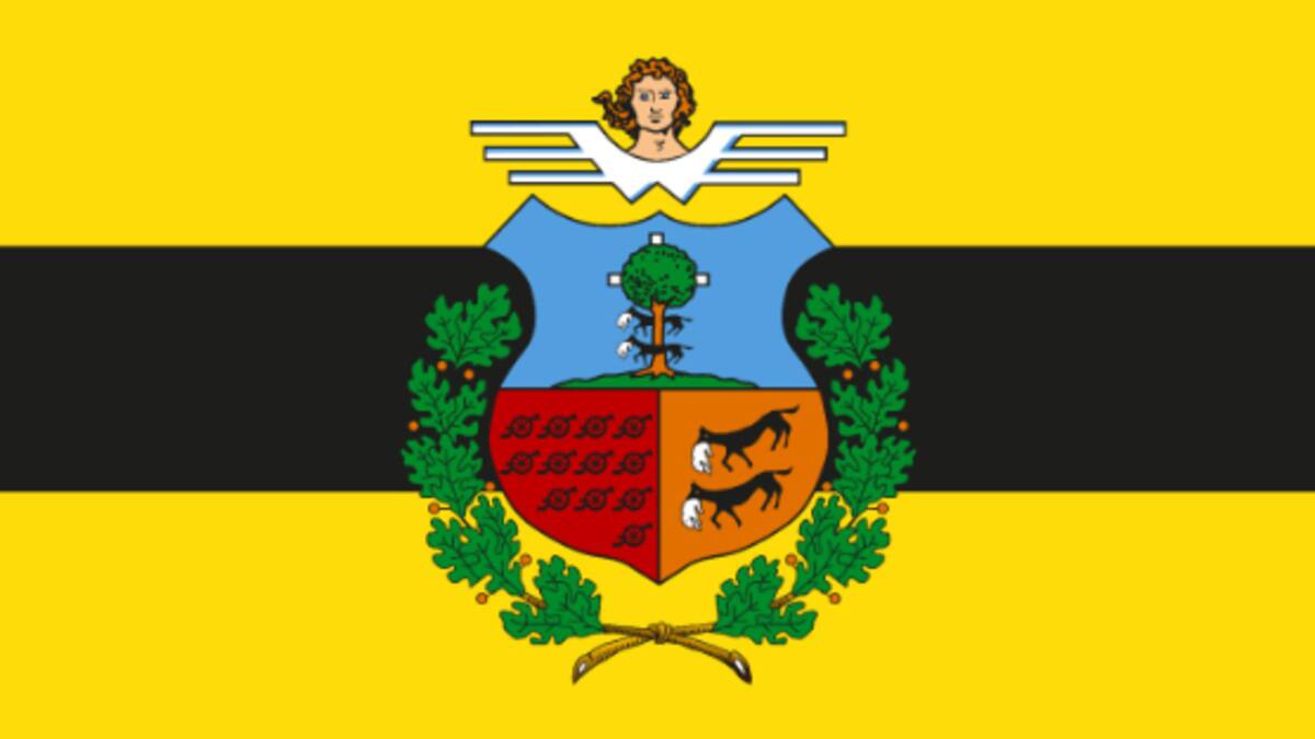 Más de 2.600 personas participan en la elección de la bandera de Barakaldo