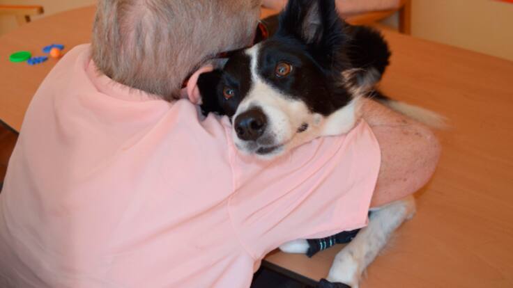 Que los que olvidan no se sientan olvidados