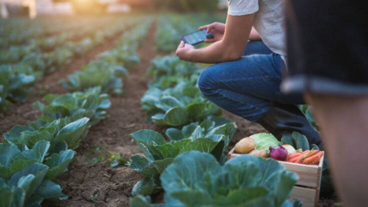 La llavor (26-02-2022)