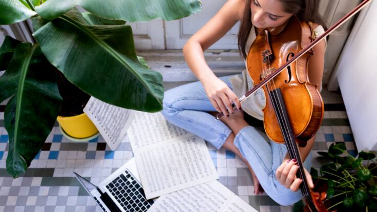 La viola, la gran desconocida