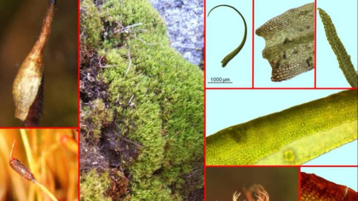 Entrevista con Modesto Luceño