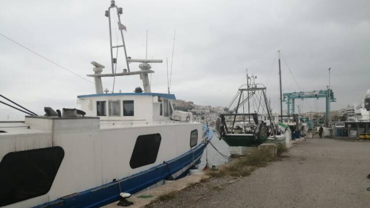 Seguimiento total de la flota pesquera pitiusa a la jornada de huelga