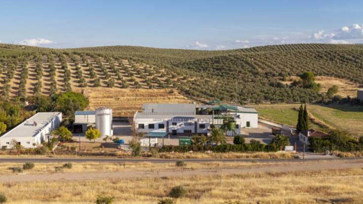 Rafael Guzmán, presidente de la Cooperativa San Agustín de Linares. Impacto de la huelga del transporte