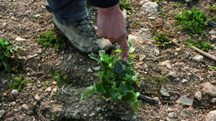 I+D Agro Navarra: Soluciones para el sector primario (24/03/2022)