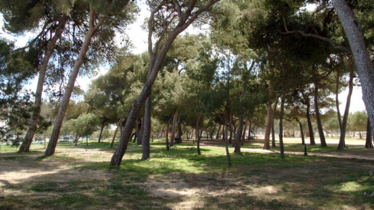 Un vecino del Grau de Castelló expone un aumento de vandalismo y robos en la zona