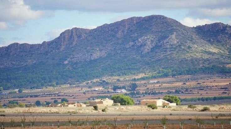 Pedro Martínez, portavoz de la Plataforma, en Radio Villena SER
