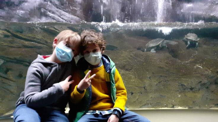 Aspanoa, Medalla de Oro de las Cortes de Aragón (06/04/2022)