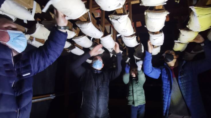 Cargar un paso a hombros en tiempos de COVID