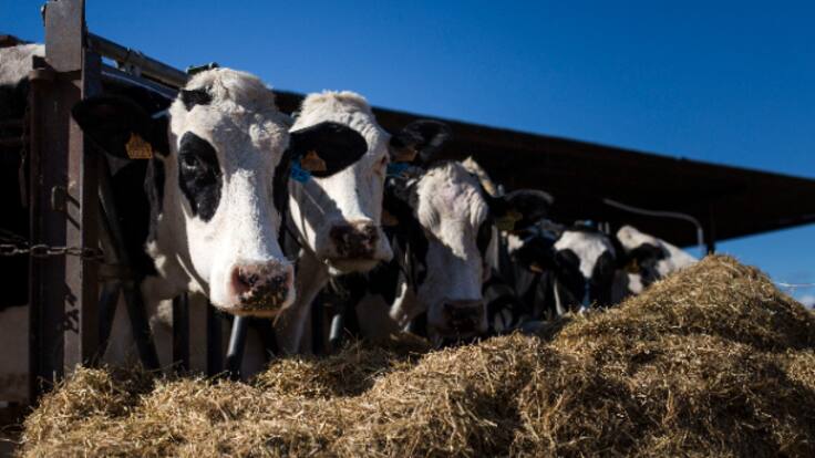 Primera llamada del día con el sector lácteo (12/04/2022)