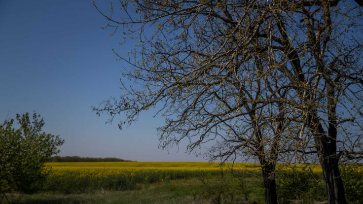 La previsión de Lluís Francés (25/05/22)