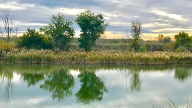 Entrevista con el alcalde de Peralta, Juan Carlos Castillo (26/05/2022)