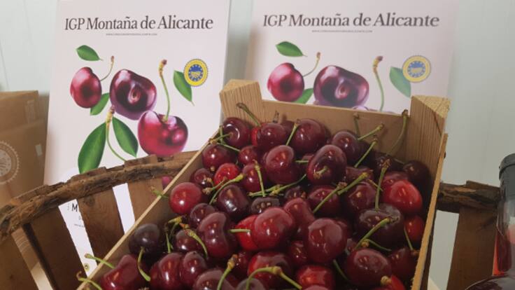 Comença la campanya de la cirera_Entrevista a Hilario Calabuig, president de del Consell Regulador de la Indicació Geogràfica Protegida Cireres de la Muntanya d'Alacant (02/06/2022)