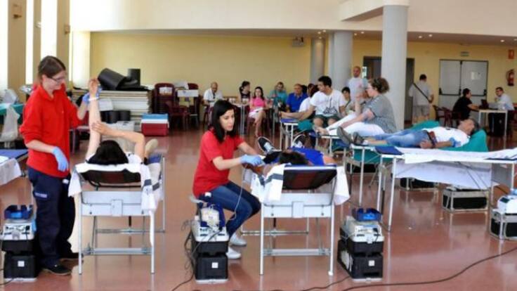 Entrevista con el Dr. Roberto Roig, jefe del Servicio de Hemodonación del Centro Transfusión CV