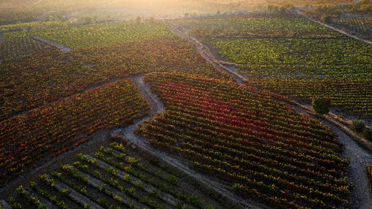 "El mundo rural se mantendrá si hay actividad económica en los pueblos" (13/06/2022)