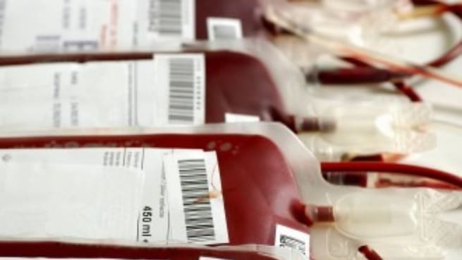“Donar sangre podría tener un efecto rejuvenecedor en el donante”, Matilde Cañelles, inmunóloga del CSIC sobre las transfusiones