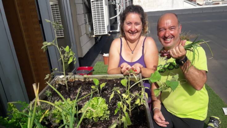 La SER te lleva al huerto: Plantamos tomates, pimientos, berenjenas y pepinos