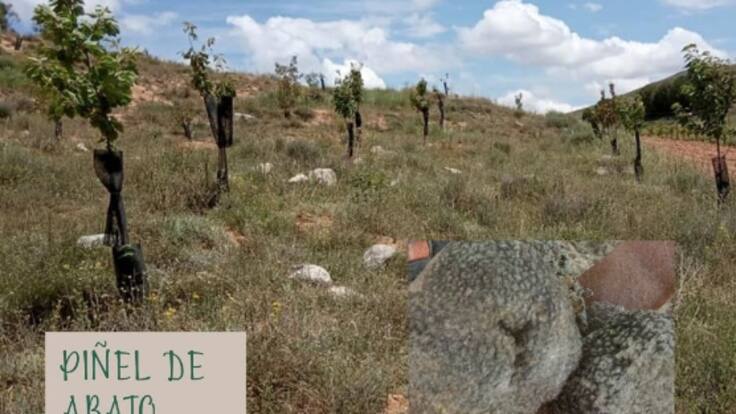 Eduardo Perote, de la Asociación Prao de Luyas, hace balance en la SER la XII Feria de la Biodiversidad de Piñel de Abajo