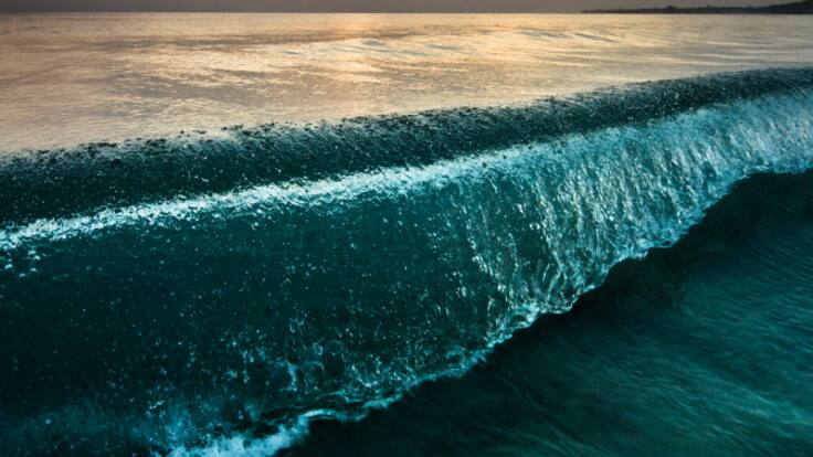 Entrevista a Francisco García, catedrático de la Escuela Superior de Ingeniería Geodésica, Cartográfica y Topográfica de la Universitat Politècnica de València