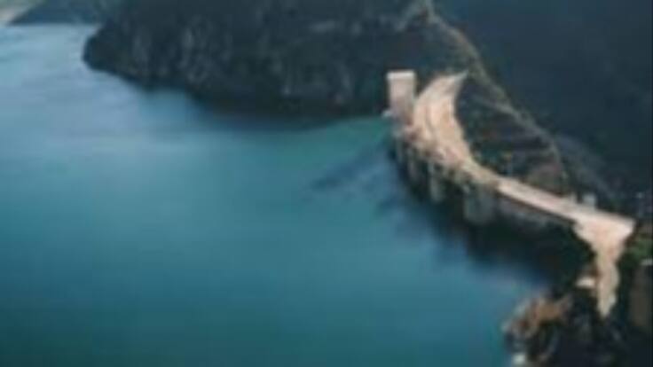 Entrevista a Dolores Fornals, directora del IAA