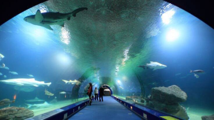 Entrevista a Marta Sanz