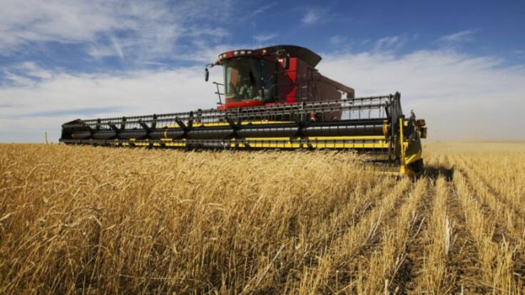 Jaraíz (16/07/2022)