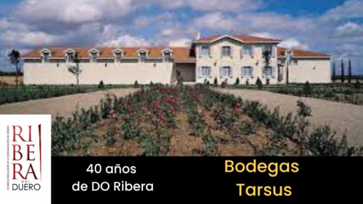 Tarsus: Vinazos para celebrar 40 años de DO Ribera
