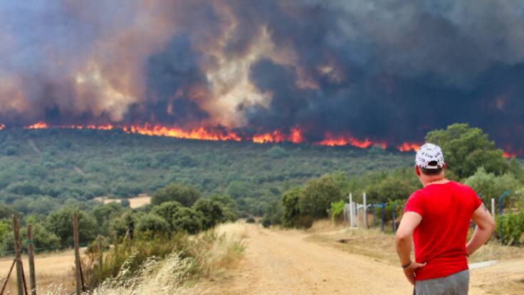 "Si tienen que llorar que lloren, si se tienen que angustiar que se angustien": La recomendación de un psicólogo a los afectados de un incendio forestal