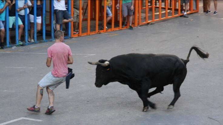 Entrevista a Germán Zaragoza, presidente de la Federación de Penyes de Bous al Carrer de la Comunitat Valenciana