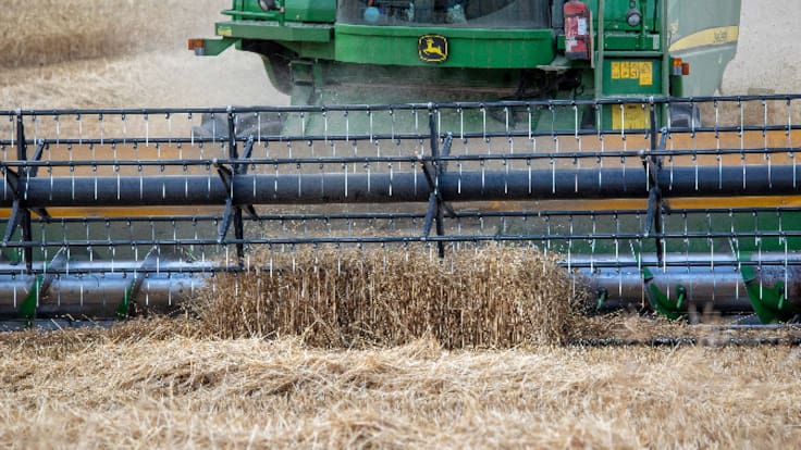 Entrevista con Ángel López de Silanes, técnico comercial de Syngenta (12/09/2022)