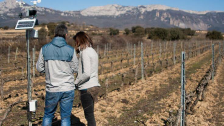 Entrevista con el CEO de Agrovidar, Gonzalo Villalba (13/09/2022)