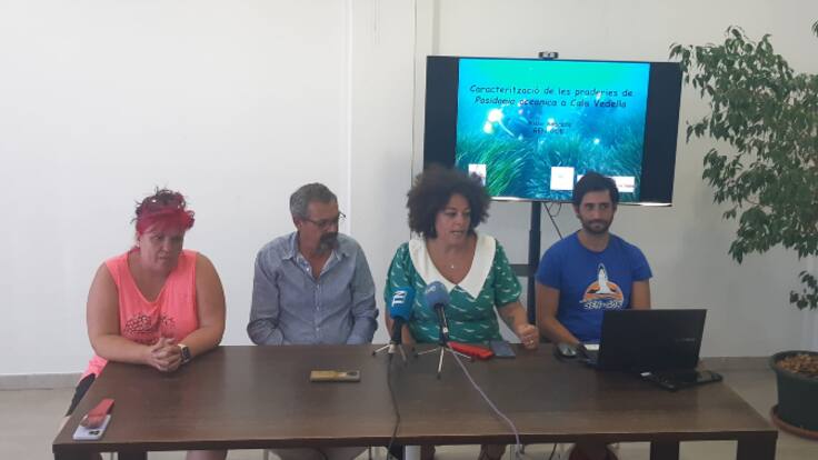 Zonas de Cala Vedella tienen el 55% de las praderas de posidonia muerta