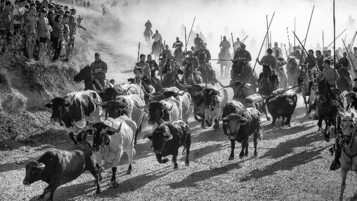 Maite Sánchez, concejal de Cultura, habla sobre los ganadores del Concurso Fotográfico Fiestas de Cuéllar 2022