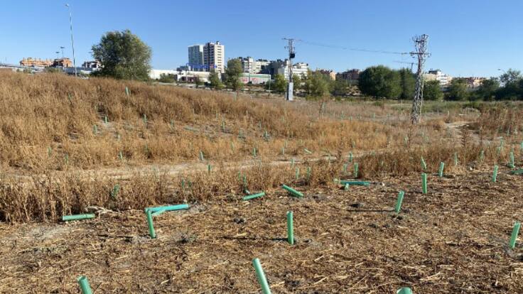 Recogemos las quejas vecinales
